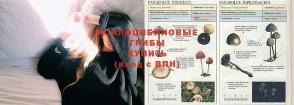 МДПВ Нея