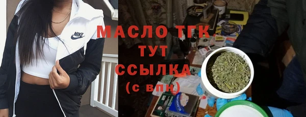 МДПВ Нея