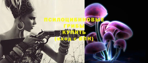 PSILOCYBIN Нефтегорск