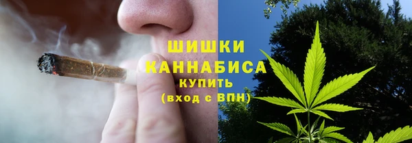 твердый Надым