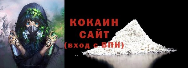 PSILOCYBIN Нефтегорск
