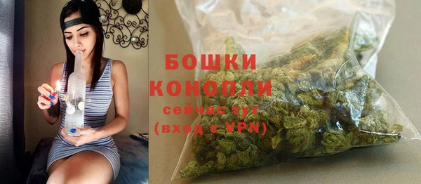 МДПВ Нея