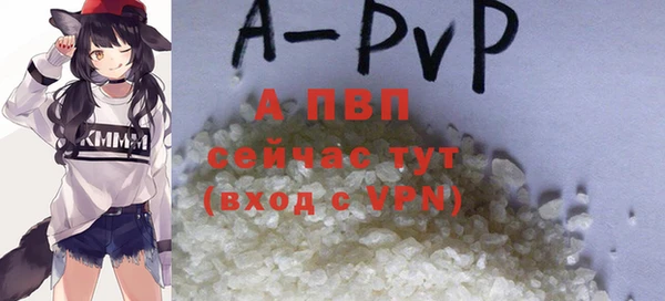 МДПВ Нея