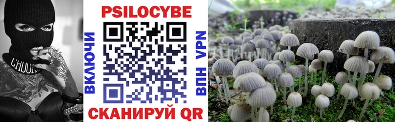 Галлюциногенные грибы прущие грибы  Мамадыш 